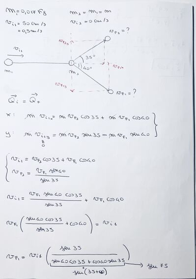 IMG 7519