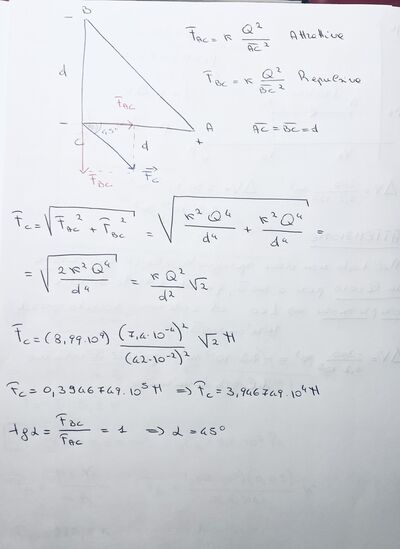 IMG 9465
