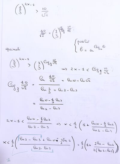 IMG 4646