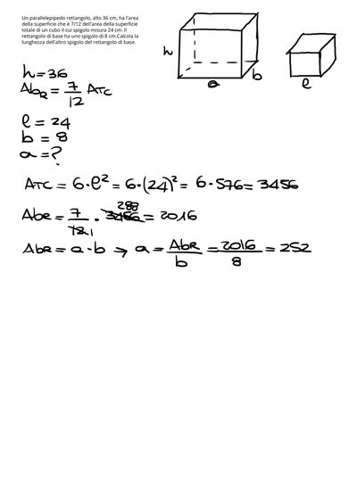 IMG 2384