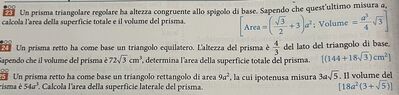 IMG 7158