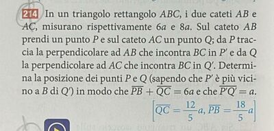 Immagine WhatsApp 2024 05 22 ore 18.58.21 01f36c59