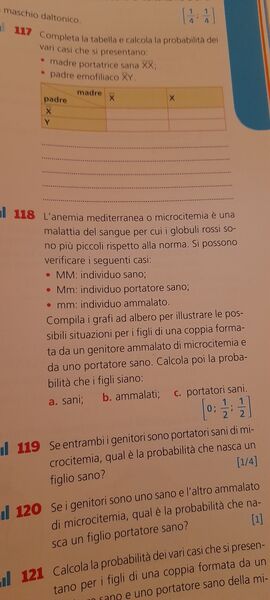 IMG 1684652261440