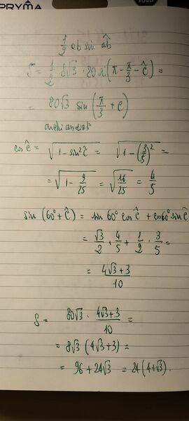 IMG20250219194324