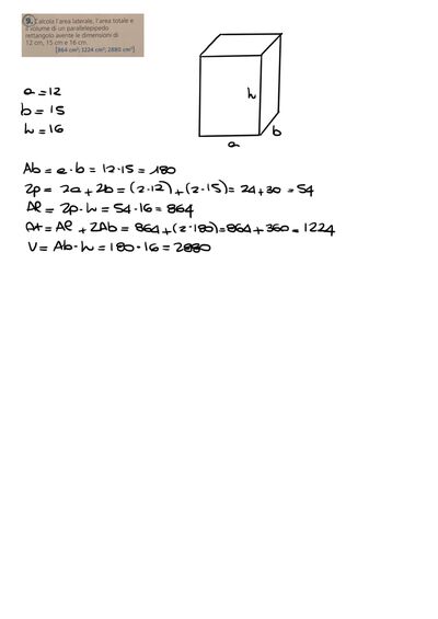IMG 2431
