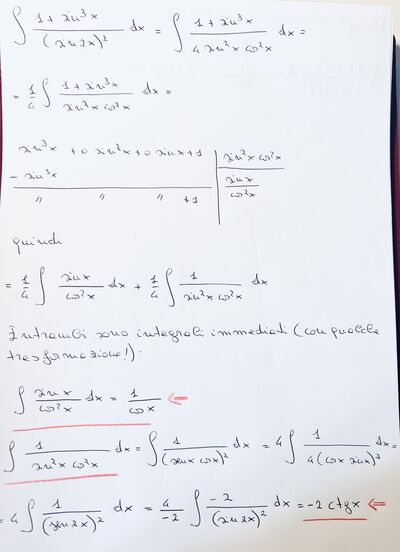 IMG 9377