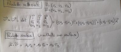 IMG 20230725 163734