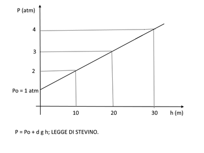 stevino