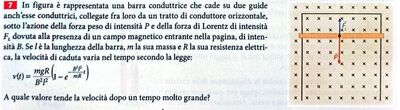 7 rossa