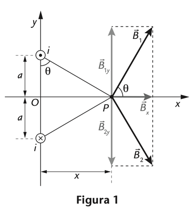Figura 1