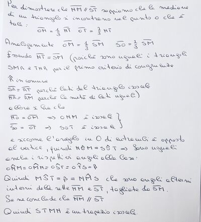 IMG 7542
