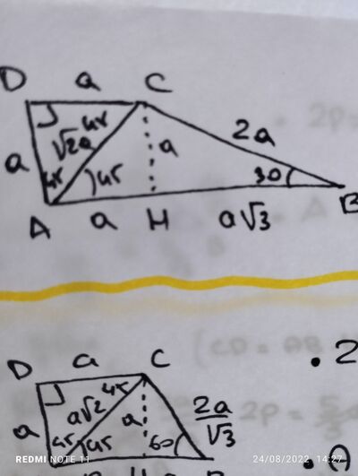 IMG 20220824 142712