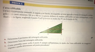 image (2)