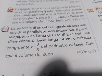 IMG 1676479695004