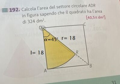 image (1)