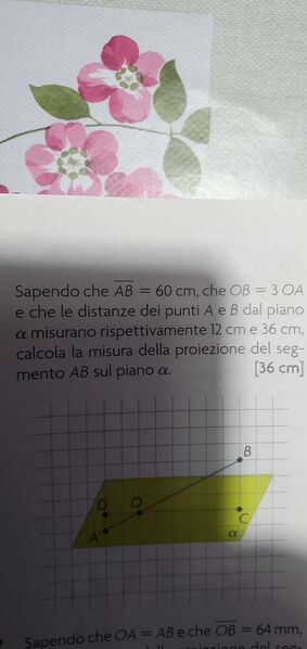 16779134386281719104647756415914