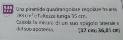 IMG 20250210 194833 1 2