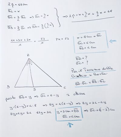 IMG 7515