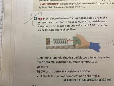 image (12)