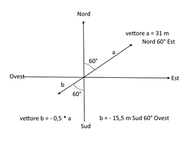 vettore