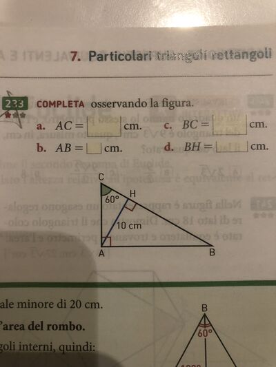 IMG 1737