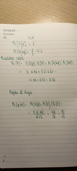 IMG20250131190205