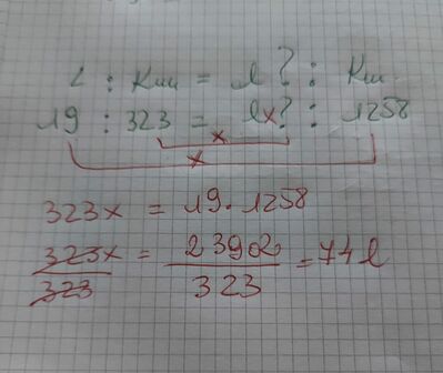 Immagine WhatsApp 2024 04 08 ore 00.01.37 30b7bd4e