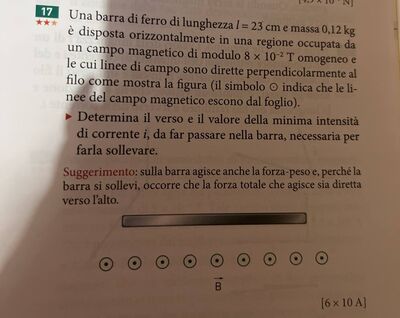 photo 5836976708815797810 y