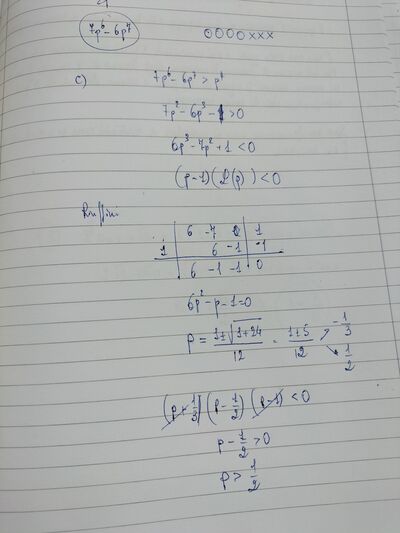 IMG20250811161502