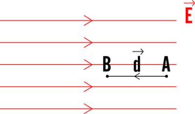 campoE2