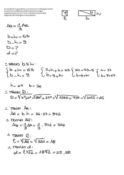 IMG 2887
