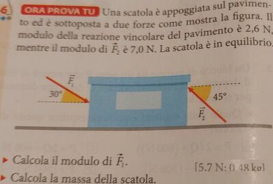 scatola