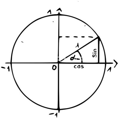 cerchio unitario seno coseno tazza