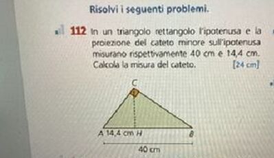 image (1)
