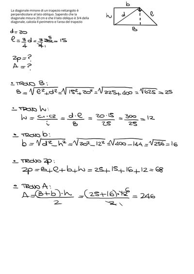 IMG 2900