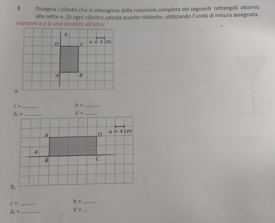 IMG 20250317 113721