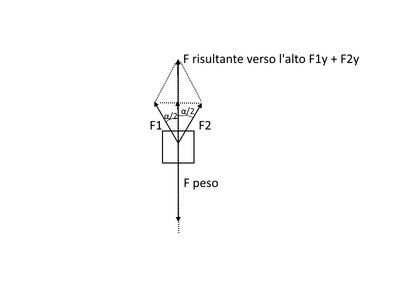 forze vett