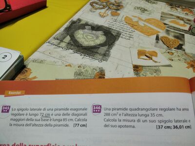 IMG 20250210 194833 1