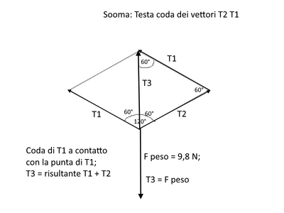 Testa coda