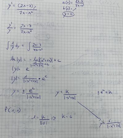 IMG 2354