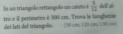 Immagine 2023 02 01 203413