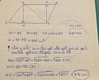 435C33C4 A0D9 4A52 B939 A20806EE516C