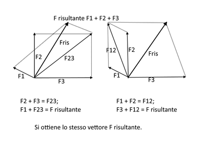 forze vett