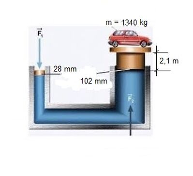 torchio auto