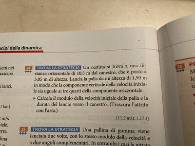 image (14)