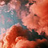 leila_dagnolo